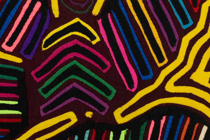 Tail Feather Bird Mola