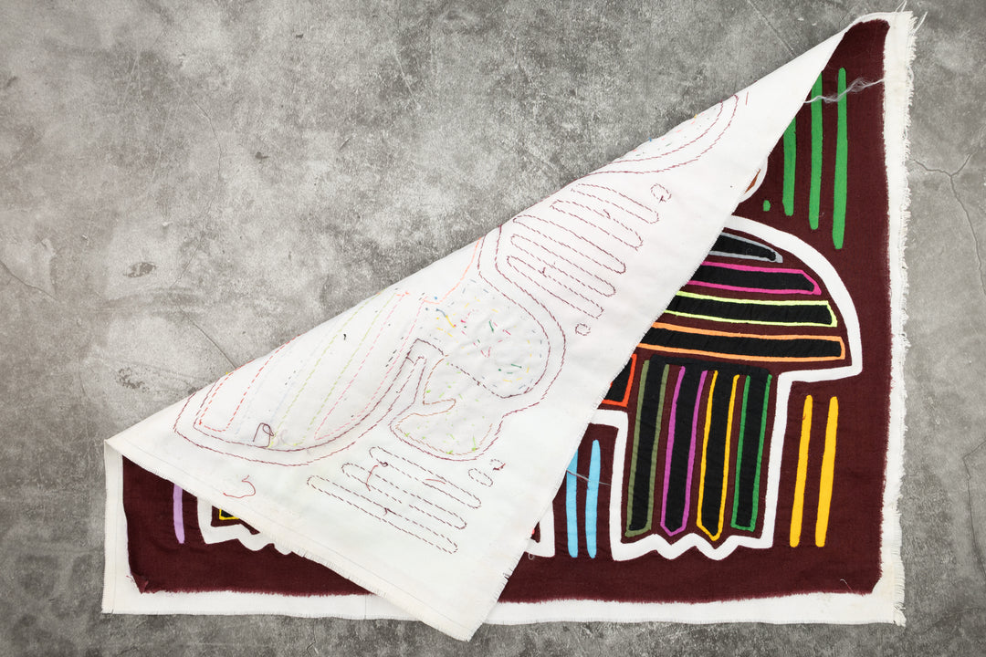 Coy Parrot Bird Mola