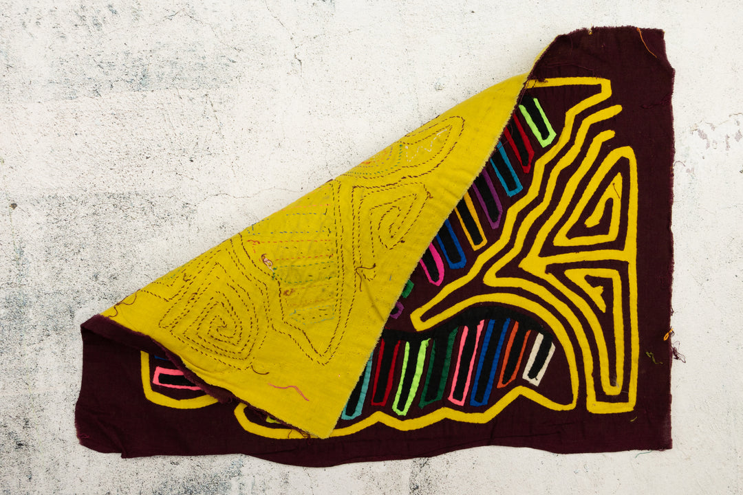 Tail Feather Bird Mola