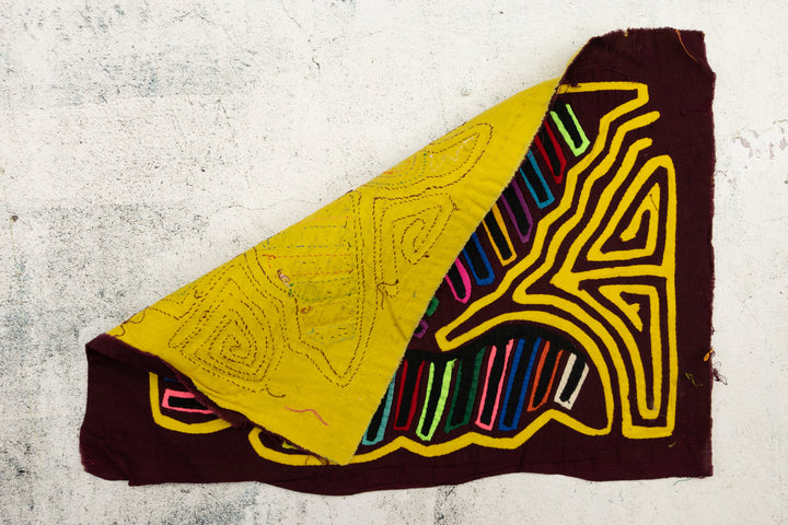 Tail Feather Bird Mola