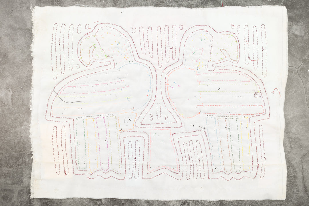 Coy Parrot Bird Mola