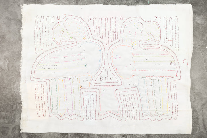 Coy Parrot Bird Mola