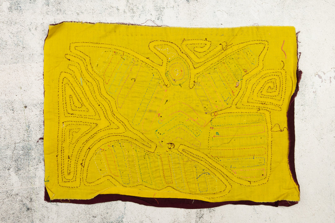 Tail Feather Bird Mola