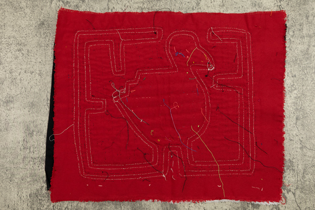 Proud Duck Bird Mola