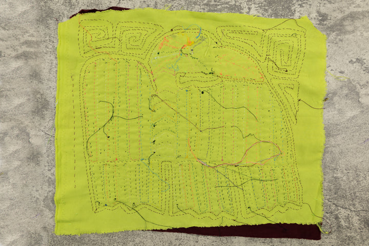 Rainbow Feather Bird Mola