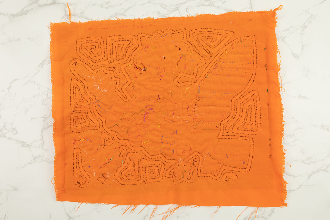 Banjo Birdie  Panama Mola