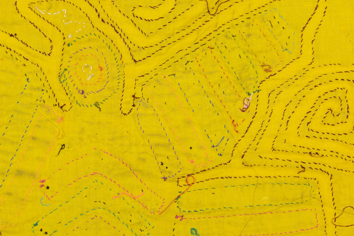 Tail Feather Bird Mola