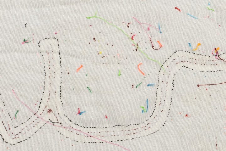 Dolphin Thru Hoop Panama Mola