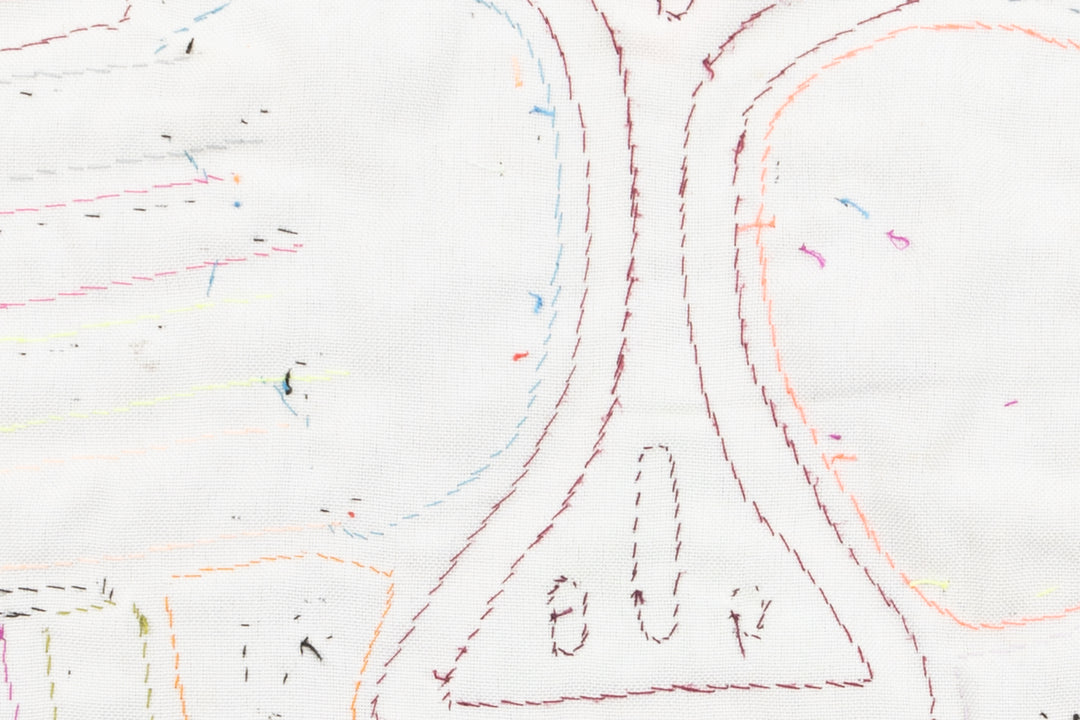 Coy Parrot Bird Mola