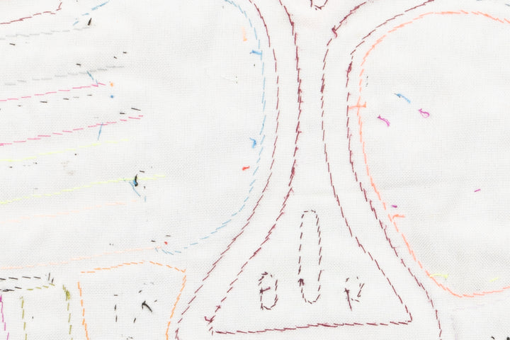 Coy Parrot Bird Mola