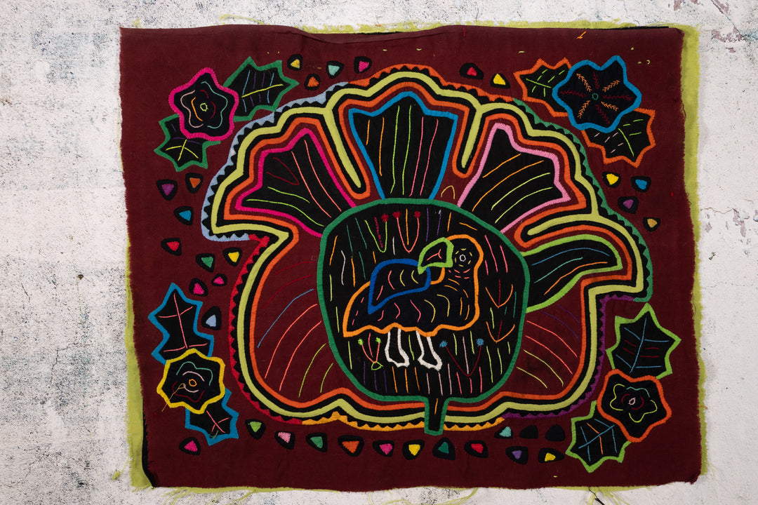 Cosmic Black Hole Parrot Two Mola