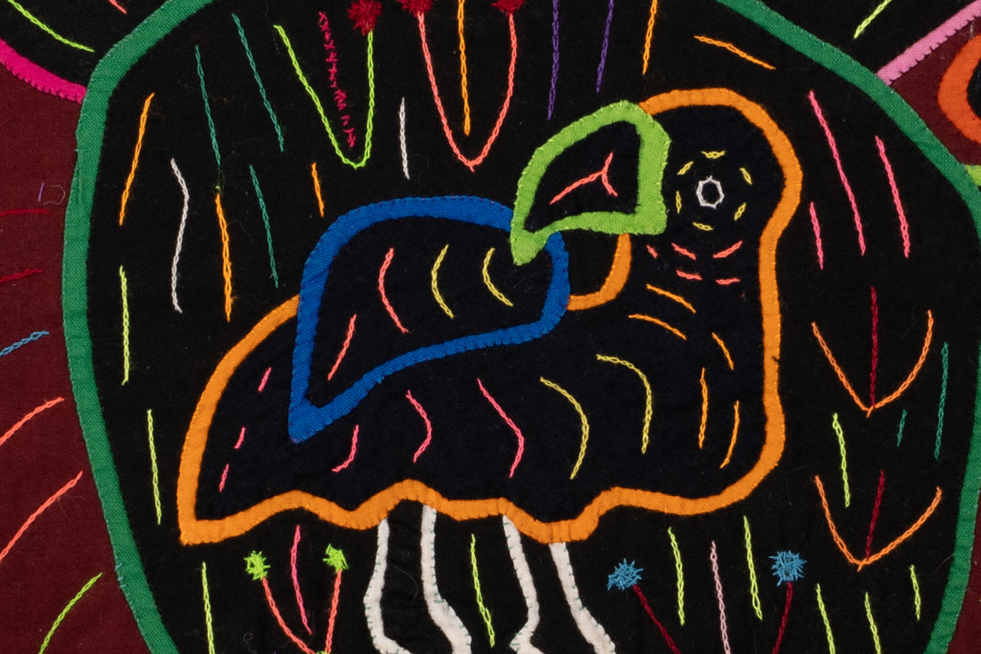 Cosmic Black Hole Parrot Two Mola