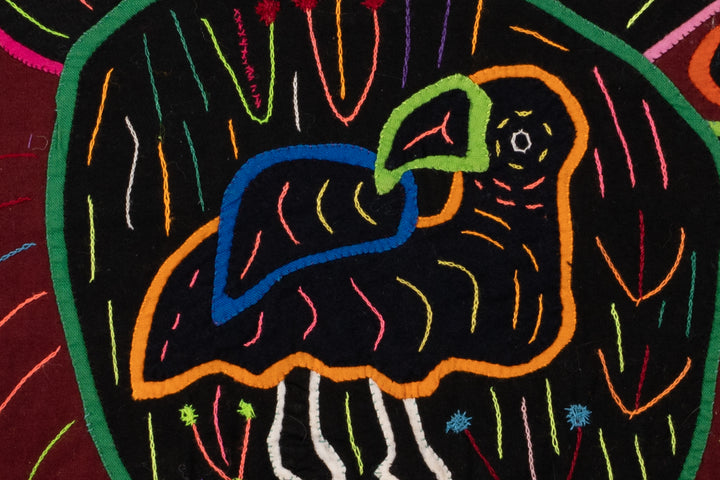 Cosmic Black Hole Parrot Two Mola