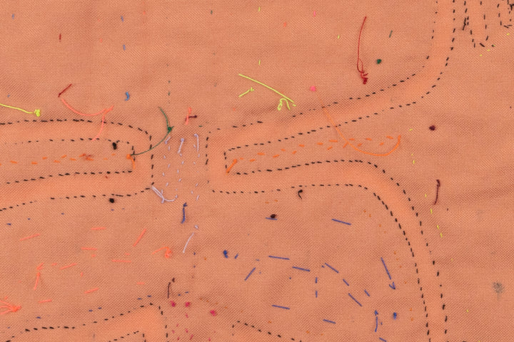 Handmade Toucan Parrot Panama Mola