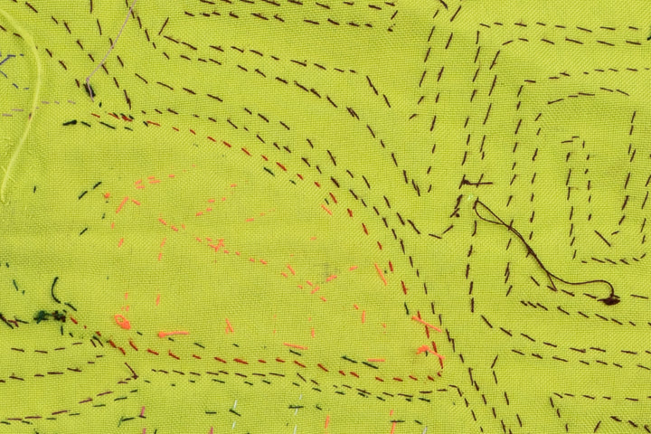 Rainbow Feather Bird Mola