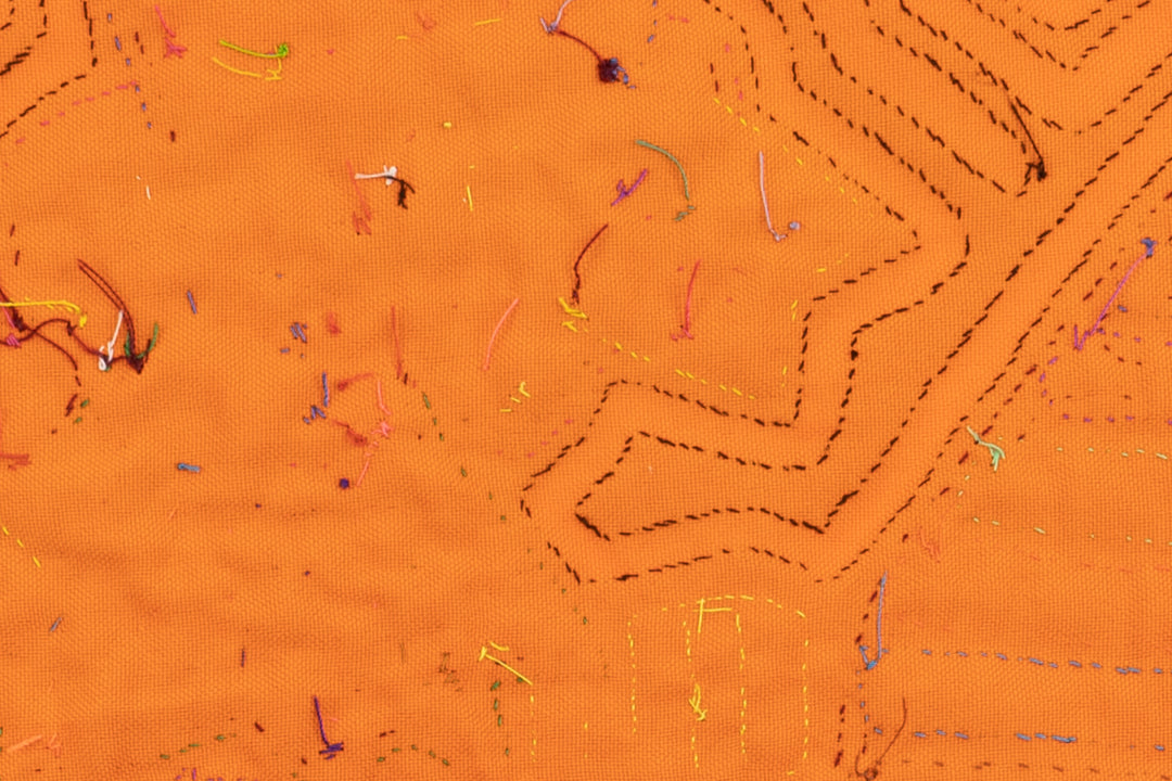 Banjo Birdie  Panama Mola