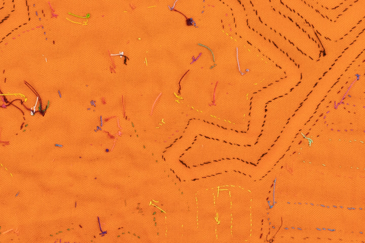 Banjo Birdie  Panama Mola