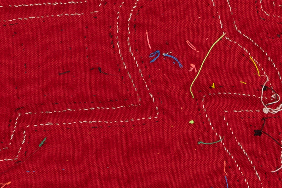 Proud Duck Bird Mola