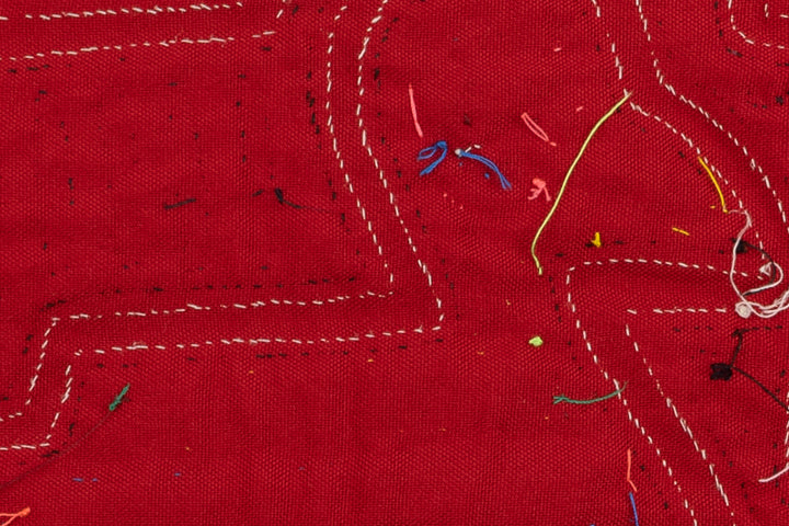 Proud Duck Bird Mola