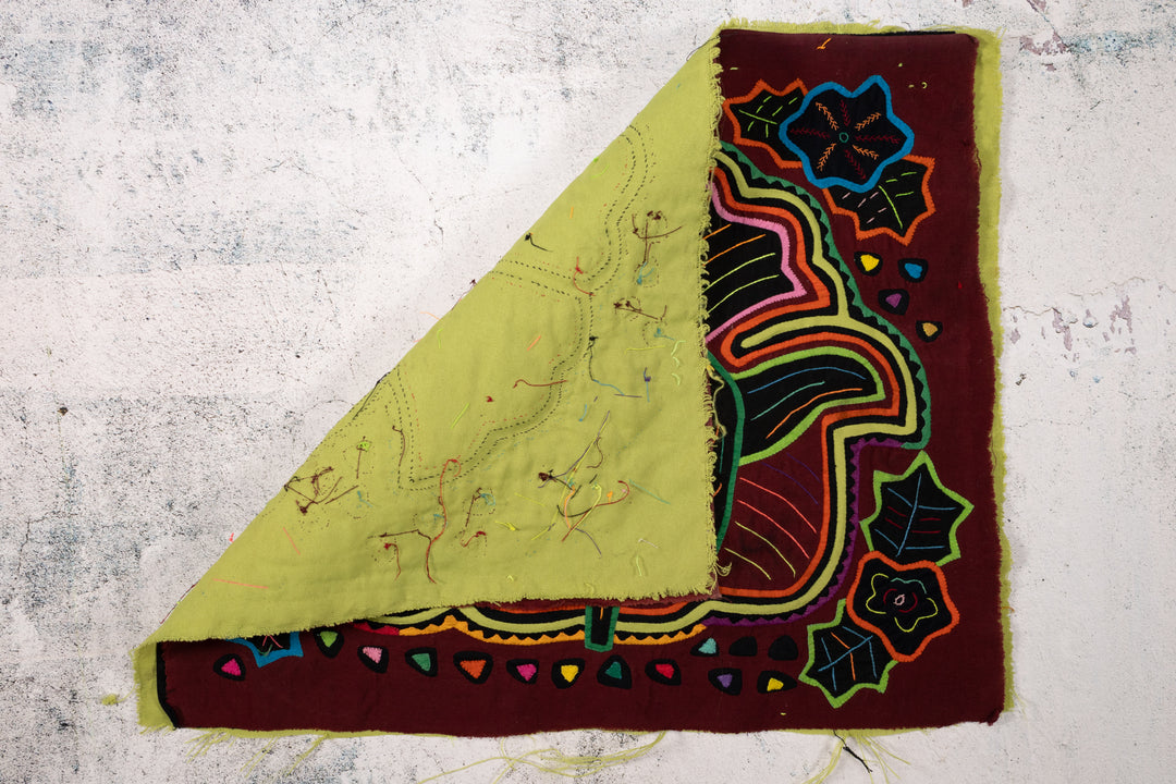 Cosmic Black Hole Parrot Two Mola