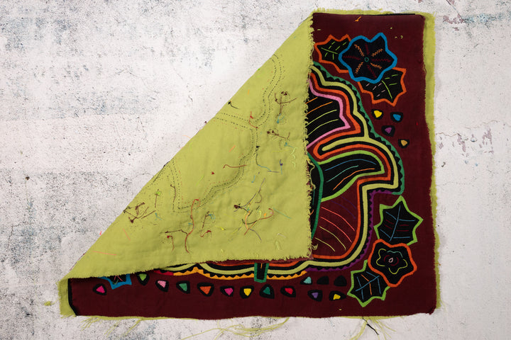 Cosmic Black Hole Parrot Two Mola