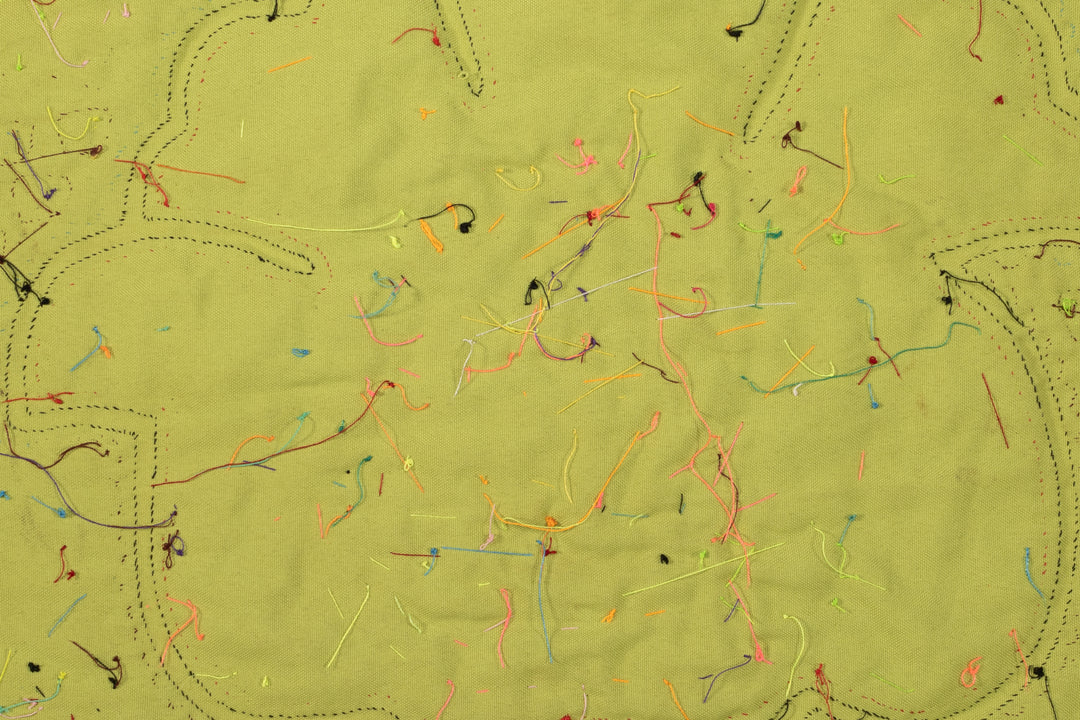 Cosmic Black Hole Parrot Two Mola