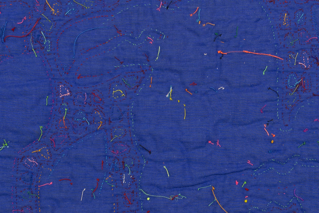 Toucan Parrot Panama Mola