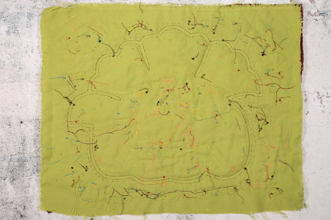 Cosmic Black Hole Parrot Two Mola