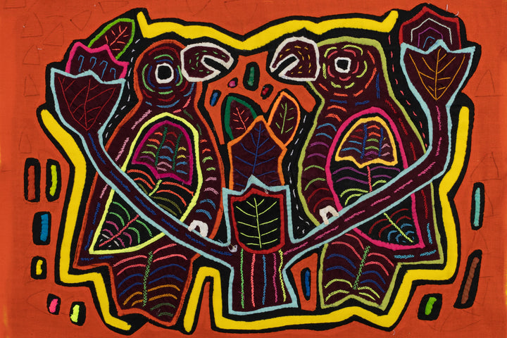 Gossip Parrot Bird Mola