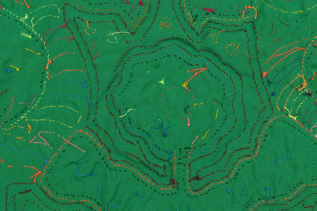 Dunce Cap Parrot Panama Mola