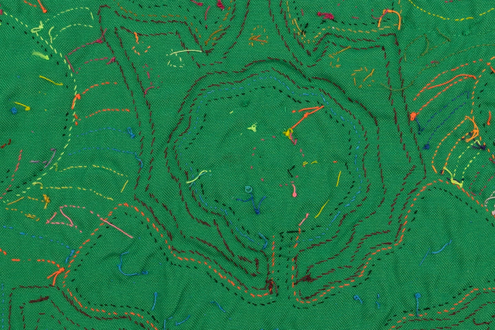 Dunce Cap Parrot Panama Mola