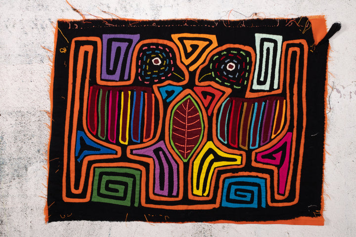 Rainbow Feather Lovebird Mola