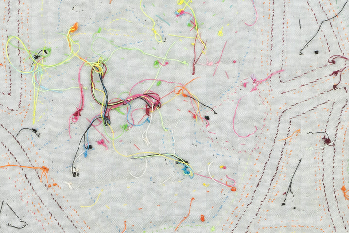 Blue Toucan Parrot Mola