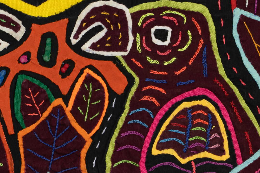 Gossip Parrot Bird Mola