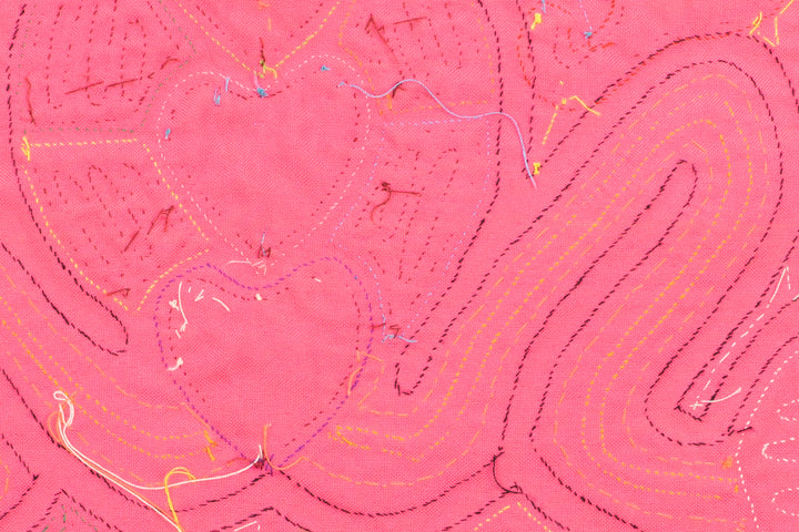 Aiken Pest Control Mola