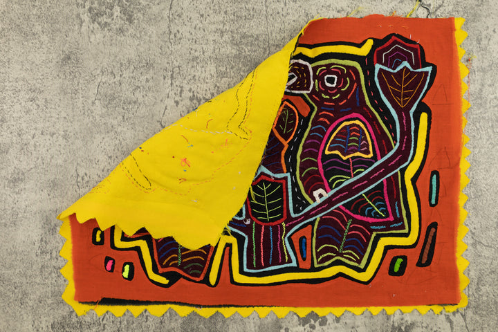 Gossip Parrot Bird Mola