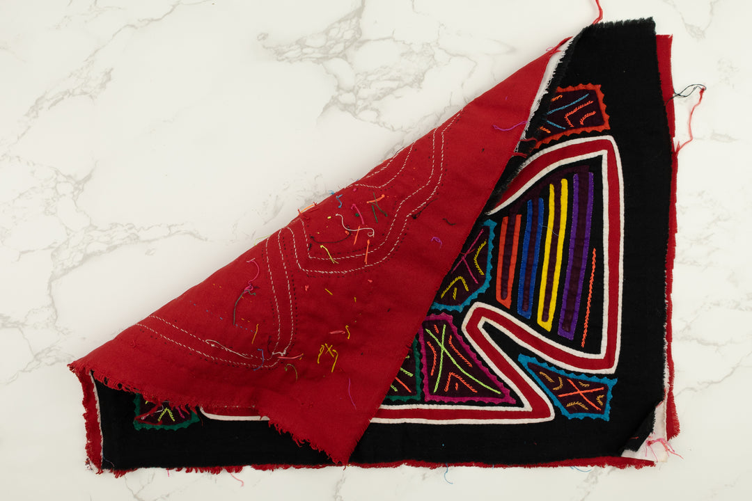 Two Big Nose Bird Panama Mola