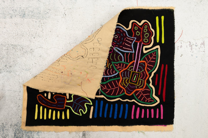 Rainforest Bird Mola