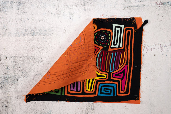 Rainbow Feather Lovebird Mola