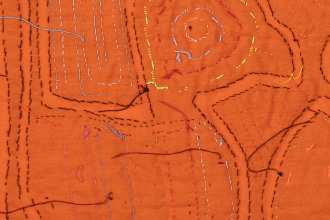 Rainbow Feather Lovebird Mola