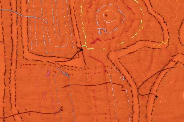 Rainbow Feather Lovebird Mola