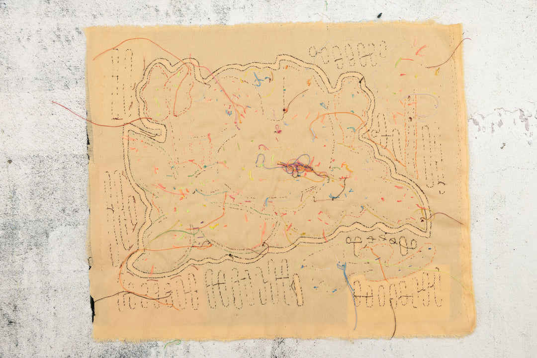 Rainforest Bird Mola