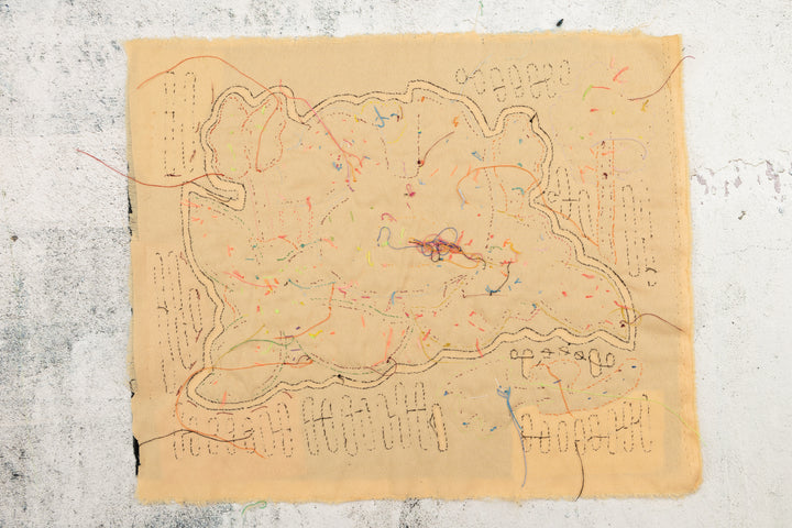 Rainforest Bird Mola