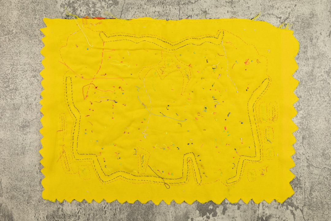 Gossip Parrot Bird Mola