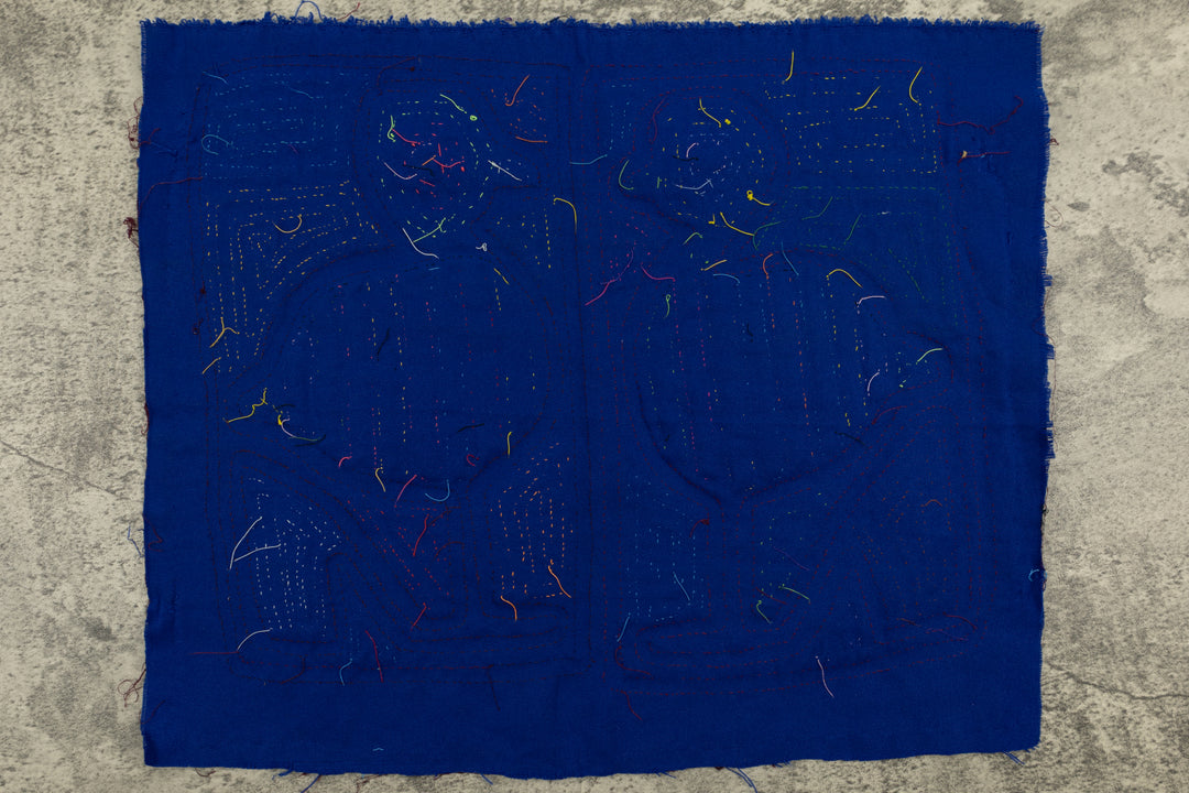 Blue Duckling Duck Mola