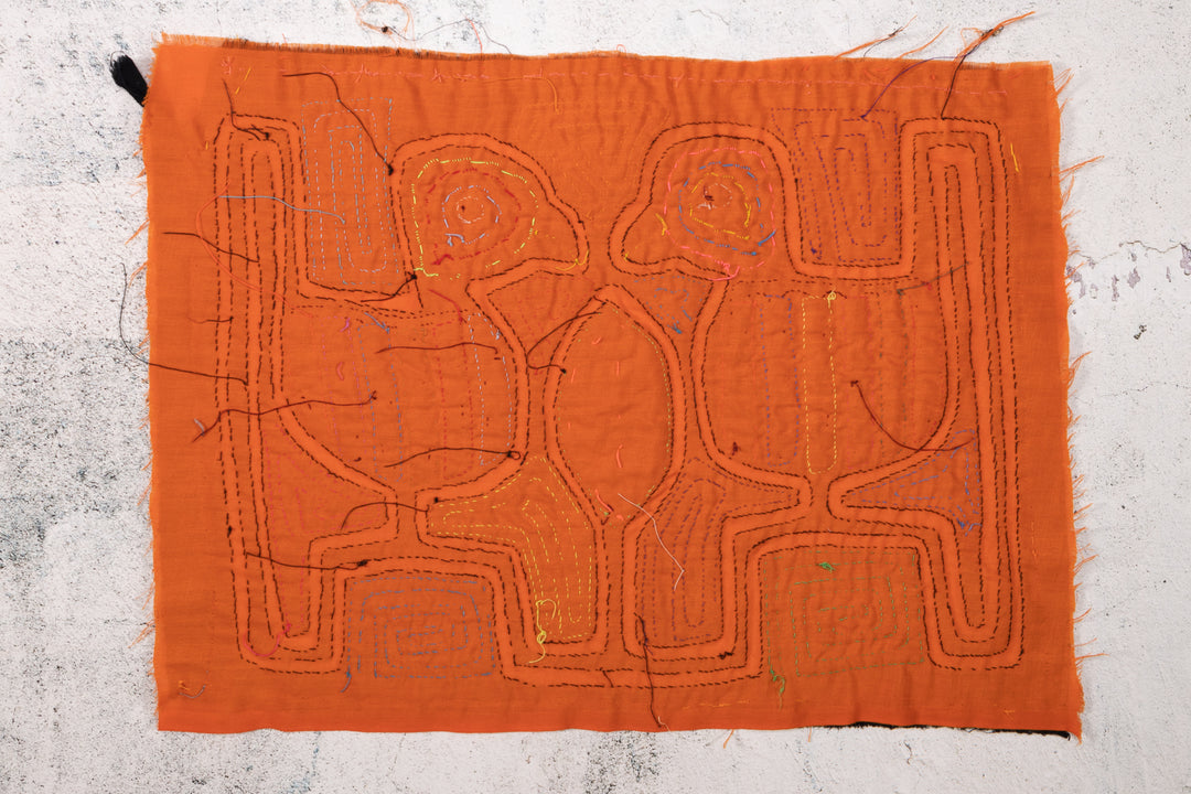 Rainbow Feather Lovebird Mola