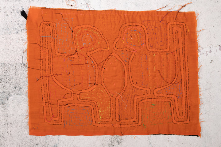 Rainbow Feather Lovebird Mola