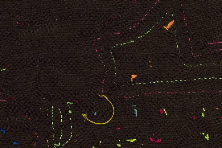 Bat Monster Bird Mola