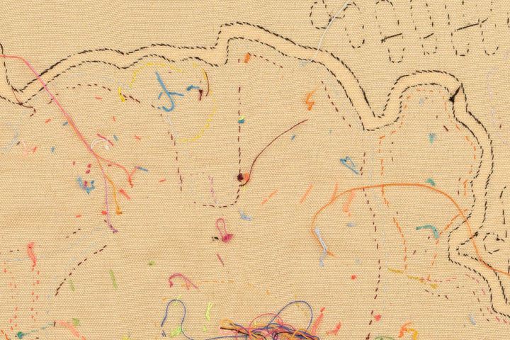 Rainforest Bird Mola