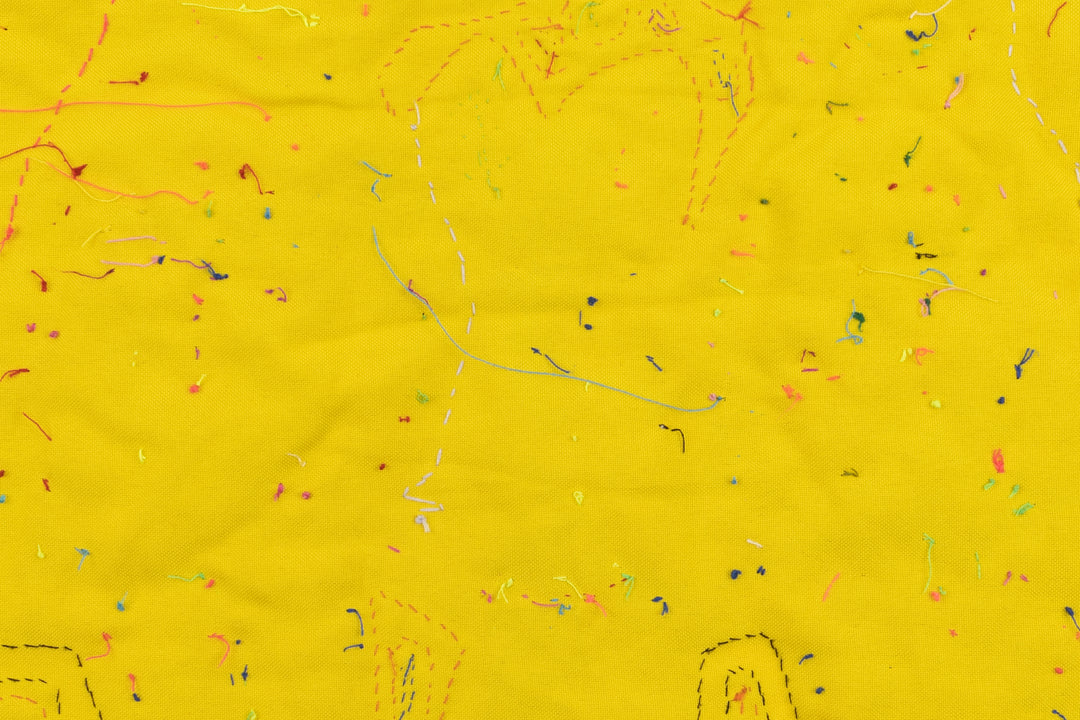 Gossip Parrot Bird Mola